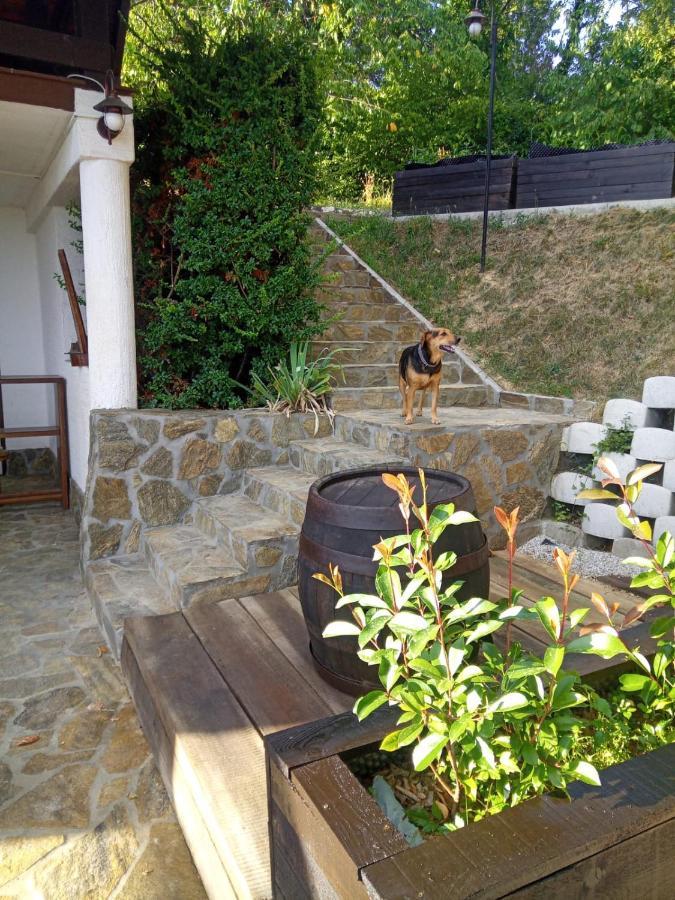 Cesargradska Klet Apartman Tuhelj Kültér fotó