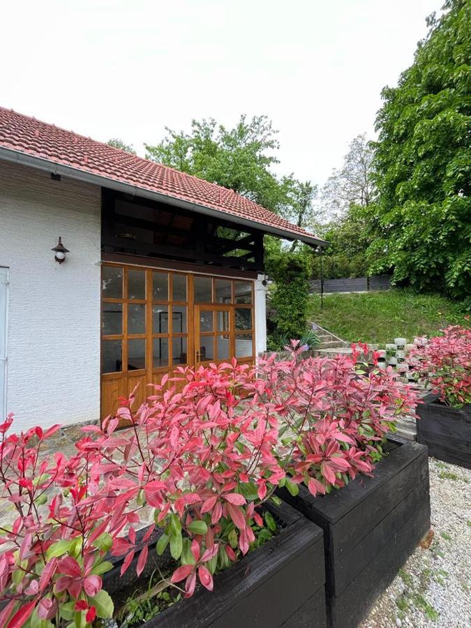 Cesargradska Klet Apartman Tuhelj Kültér fotó